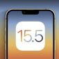 Apple chính thức tung ra iOS 15.5: Cập nhật ngay và luôn nào!