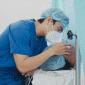 NSƯT Kim Tử Long, Khả Như và khán giả xúc động trước tâm thư Lê Dương Bảo Lâm gửi đến vợ sau sinh