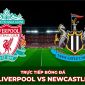 Xem trực tiếp bóng đá Liverpool vs Newcastle ở đâu, kênh nào? Link xem Ngoại hạng Anh Full HD