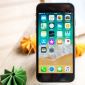 iPhone 8 rẻ hơn iPhone 14 đến 6 lần, vẫn được cập nhật iOS 16 thì có đáng mua?