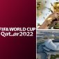 VTV ấn định thời điểm công bố Bản quyền truyền hình World Cup 2022?