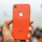 Có còn nên mua iPhone XR trong tháng 10 khi iPhone 14 đã ra mắt