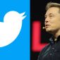 Elon Musk lên kế hoạch khởi động lại Vine sau khi mua lại Twitter