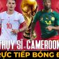 Xem trực tiếp bóng đá Thụy Sĩ vs Cameroon ở đâu, kênh nào? Link xem World Cup 2022 VTV Full HD