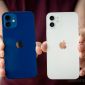 Cầm 15 triệu rinh ngay iPhone 12: Điện thoại ‘xịn’ giá cực ‘hời’