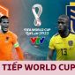 Xem trực tiếp bóng đá Hà Lan vs Ecuador ở đâu, kênh nào? Link xem trực tiếp World Cup hôm nay