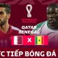 Xem trực tiếp bóng đá Qatar vs Senegal ở đâu, kênh nào? Link xem trực tiếp World Cup 2022 hôm nay