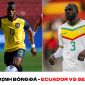 Nhận định bóng đá Ecuador vs Senegal - Bảng A World Cup 2022: Cân tài cân sức