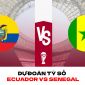 Dự đoán tỷ số Ecuador vs Senegal - Bảng A World Cup 2022: Khan hiếm bàn thắng?