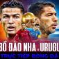 Xem trực tiếp bóng đá Bồ Đào Nha vs Uruguay ở đâu kênh nào?; Link xem trực tiếp World Cup hôm nay