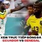 Xem trực tiếp bóng đá Ecuador vs Senegal ở đâu, kênh nào? - Link xem World Cup 2022 trên VTV