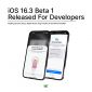 Hướng dẫn kích hoạt tính năng bảo mật Apple ID tốt hơn trên iOS 16.3