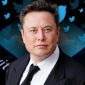 Elon Musk sẽ từ chức CEO Twitter vào cuối năm 2023