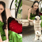 Hương Giang rạng rỡ bên bó hoa hồng đỏ, hé lộ tình trạng hiện tại sau nửa năm chia tay Matt Liu