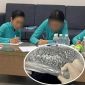 Thêm thông tin nóng về vụ 4 tiếp viên mang ma túy về Việt Nam: 2 nghi can liên quan bị bắt giữ