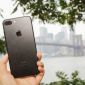 iPhone 7 Plus giá 'sinh viên' cuối tháng 4, hiệu năng đủ mượt để khách Việt 'chim ưng'