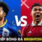 Xem trực tiếp bóng đá Brighton vs MU ở đâu, kênh nào? Link xem trực tuyến Ngoại hạng Anh Full HD