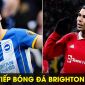 Trực tiếp bóng đá Brighton vs MU - Đá bù vòng 28 Ngoại hạng Anh: Quỷ Đỏ giành vé dự Champions League