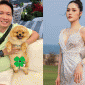 Thực hư tin chồng của Đoàn Di Băng có con riêng với cô bảo mẫu trong gia đình