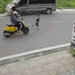 Hải Phòng: CA thông tin việc người phụ nữ đi xe máy bị tác động vật lý sau khi va chạm giao thông