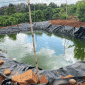 Đắc Nông: Nhảy xuống hồ tưới cứu cháu, người phụ nữ 60 tuổi và cháu trai 5 tuổi tử vong tại chỗ