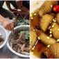 Những món ăn sống kinh dị nhất Việt Nam, có những món chỉ nghe tên thôi cũng đã thấy sợ
