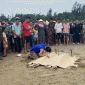 Thanh Hóa: Đưa 4 cháu ngoại đi tắm biển, người ông đau đớn khi 3 cháu bị đuối nước cùng lúc