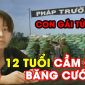Lạnh người thủ đoạn của con gái tử tù, 12 tuổi cầm đầu băng cướp tàn nhẫn nhất Hải Phòng