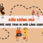 KIẾN KHÔNG NGỦ - KHI TRI THỨC ĐƯỢC TRAO ĐI DƯỚI LĂNG KÍNH HÀI HƯỚC