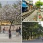Tiết lộ bất ngờ về 5 con đường trùng tên ở Hà Nội và Sài Gòn: Lãng mạn phố Bắc, nhộn nhịp phố Nam