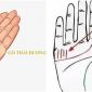 4 đặc điểm ở lòng bàn tay báo hiệu vận số giàu sang suốt đời, tài lộc hanh thông, đặc biệt là số 2