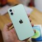 iPhone 15 có thể ra mắt với màu xanh nhạt nhưng khác với Light Green của iPhone 12