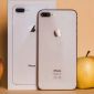 iPhone 15 sắp ra mắt, liệu iPhone 8 Plus giá từ 4 triệu có đáng để mua