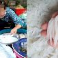 Loài cá mỗi năm chỉ xuất hiện 1 lần duy nhất, người dân tranh nhau mua dù giá cao ngất ngưởng