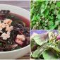 Loại rau rẻ như cho được bày bán đầy chợ nhưng được mệnh danh ‘thần dược’,cắm cành vào đất cũng sống