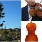 Cây vĩ cầm đắt nhất hành tinh: Làm bằng gỗ quý nghìn năm, niềm ao ước của NS violin toàn thế giới