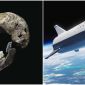 Hóa thạch xương người 2 triệu tuổi bay vào vũ trụ cùng 1 vị tỷ phú, các nhà khoa học tranh cãi kịch liệt