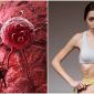 Vì sao tế bào ung thư lại ‘ưu ái’ người gầy và ‘ghét’ người béo?