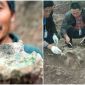Người nông dân đào được ‘báu vật’ 150 triệu năm khi đang đào ao trị giá hàng chục tỷ đồng