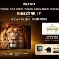 Sony BRAVIA XR OLED A95L chính thức có mặt tại Việt Nam sau khi đạt danh hiệu 'King of 4K TV 2023'