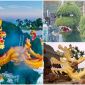 Tổng hợp những biểu cảm của linh vật rồng ở các tỉnh thành khiến nhiều người ‘cười ra nước mắt’