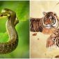 Từ ngày 11/2 - 21/2, 4 con giáp dồi dào tài lộc, bước chân ra đường có thể gặp được người thương
