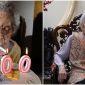 Các nhà khoa học phát hiện người sống trên 100 tuổi có máu khác người bình thường