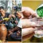 Rượu xuất hiện lần đầu tiên trên thế giới khi nào? Ai là ‘ông tổ’ của nghề nấu rượu?