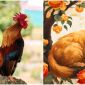 3 con giáp cực may mắn trong 7 ngày tới, có cơ hội được thăng chức, tăng lương