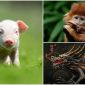 Từ ngày 23/2 – 27/2, 5 con giáp bùng nổ tài lộc, thời tới đếm tiền không xuể