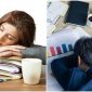 Ngủ trưa 30 phút hay 60 phút tốt hơn? Đâu là thời gian lý tưởng để ngủ trưa giúp tăng tuổi thọ