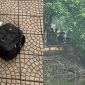 Thi thể được phát hiện tại hồ Láng Thượng, Hà Nội: Một đồ vật trong balo khiến người dân rùng mình