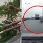 Video kinh hoàng vụ sập cầu tỉnh Phú Thọ: Lặng người trước giây phút tử thần của tài xế xe container