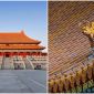 Tại sao chim không thể ‘bén mảng’ đến Tử Cấm Thành? Không phải mê tín mà có cơ sở khoa học!